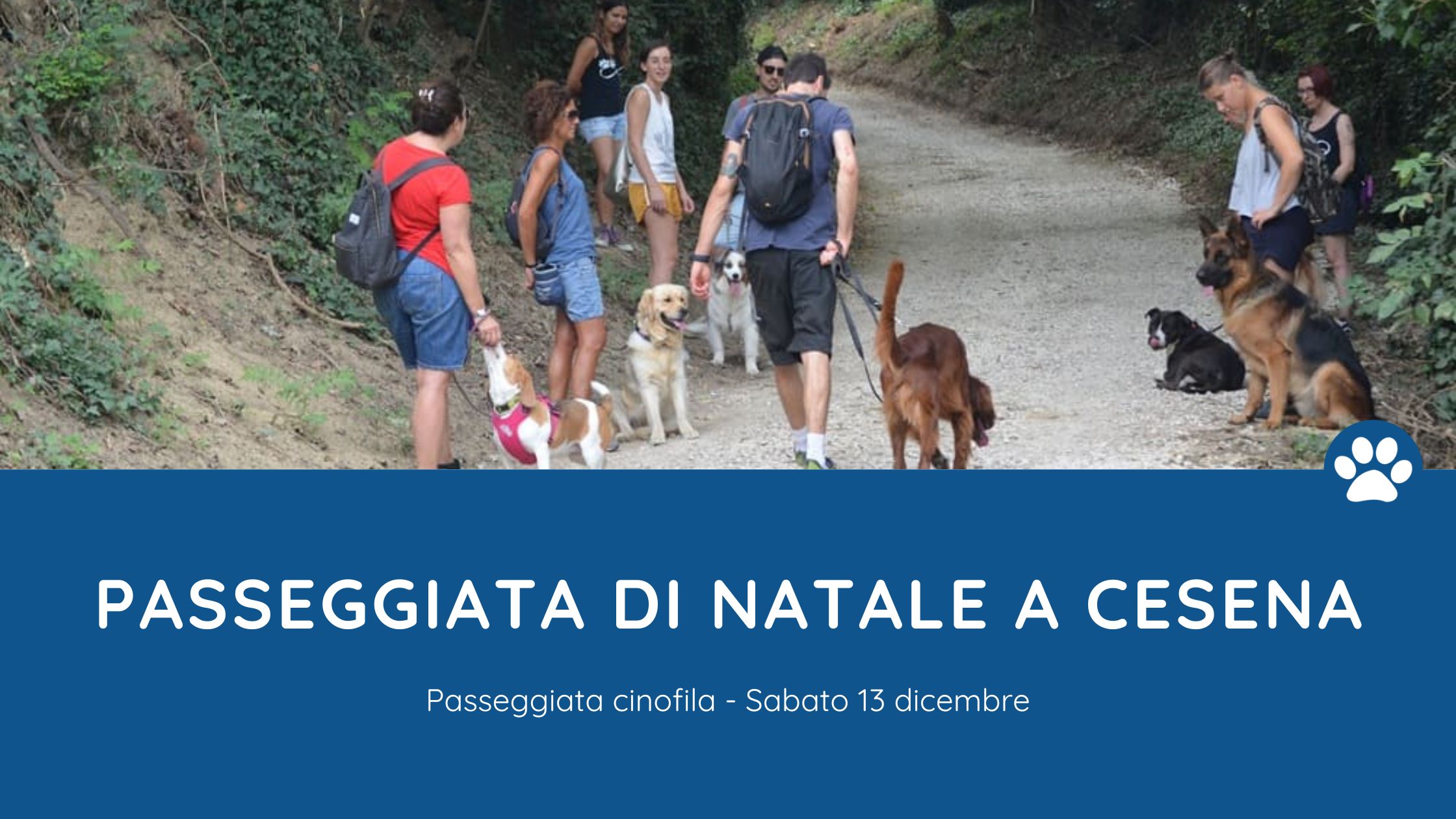 passeggiata cinofila natale cesena