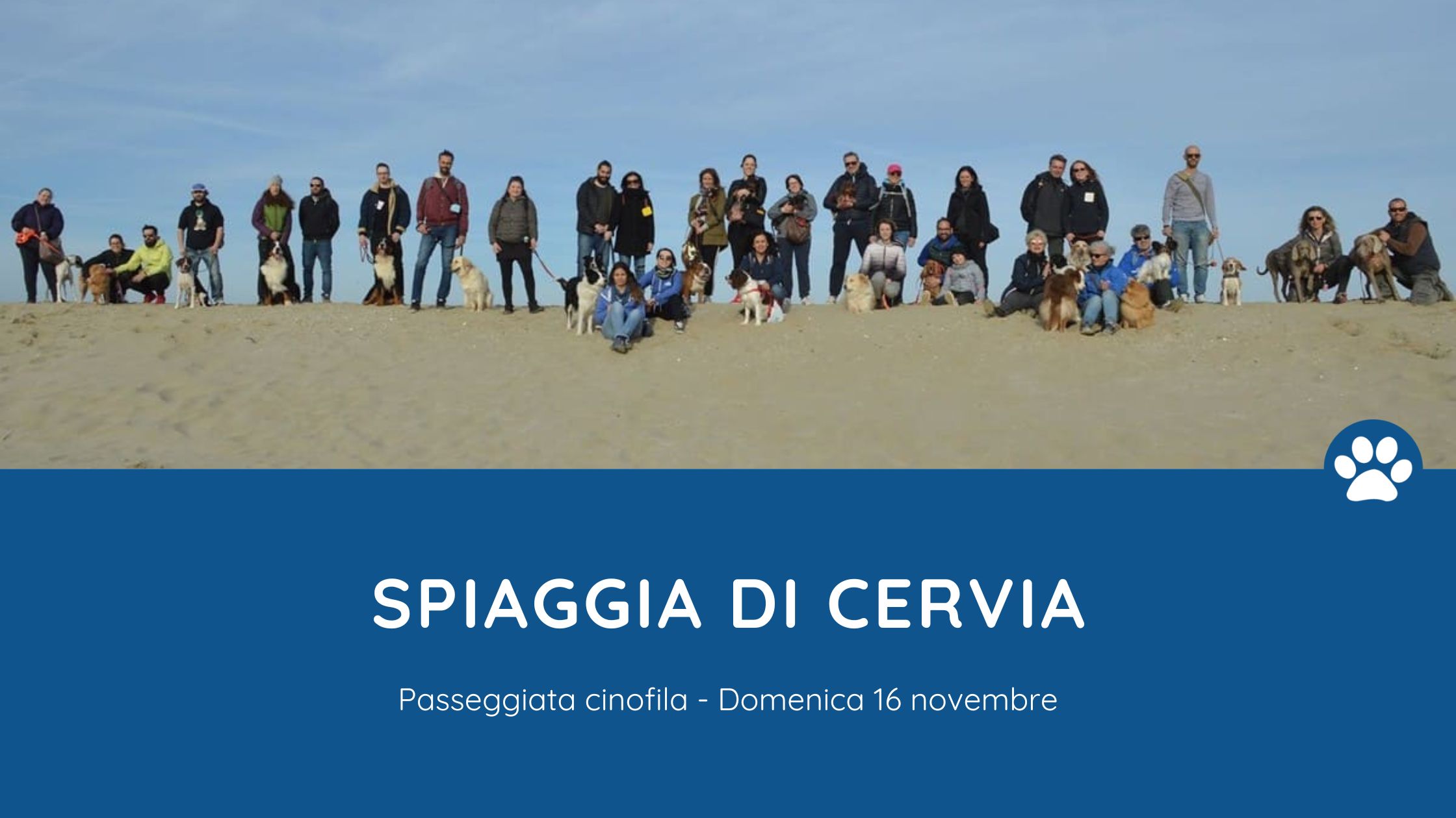 passeggiata cinofila spiaggia cervia