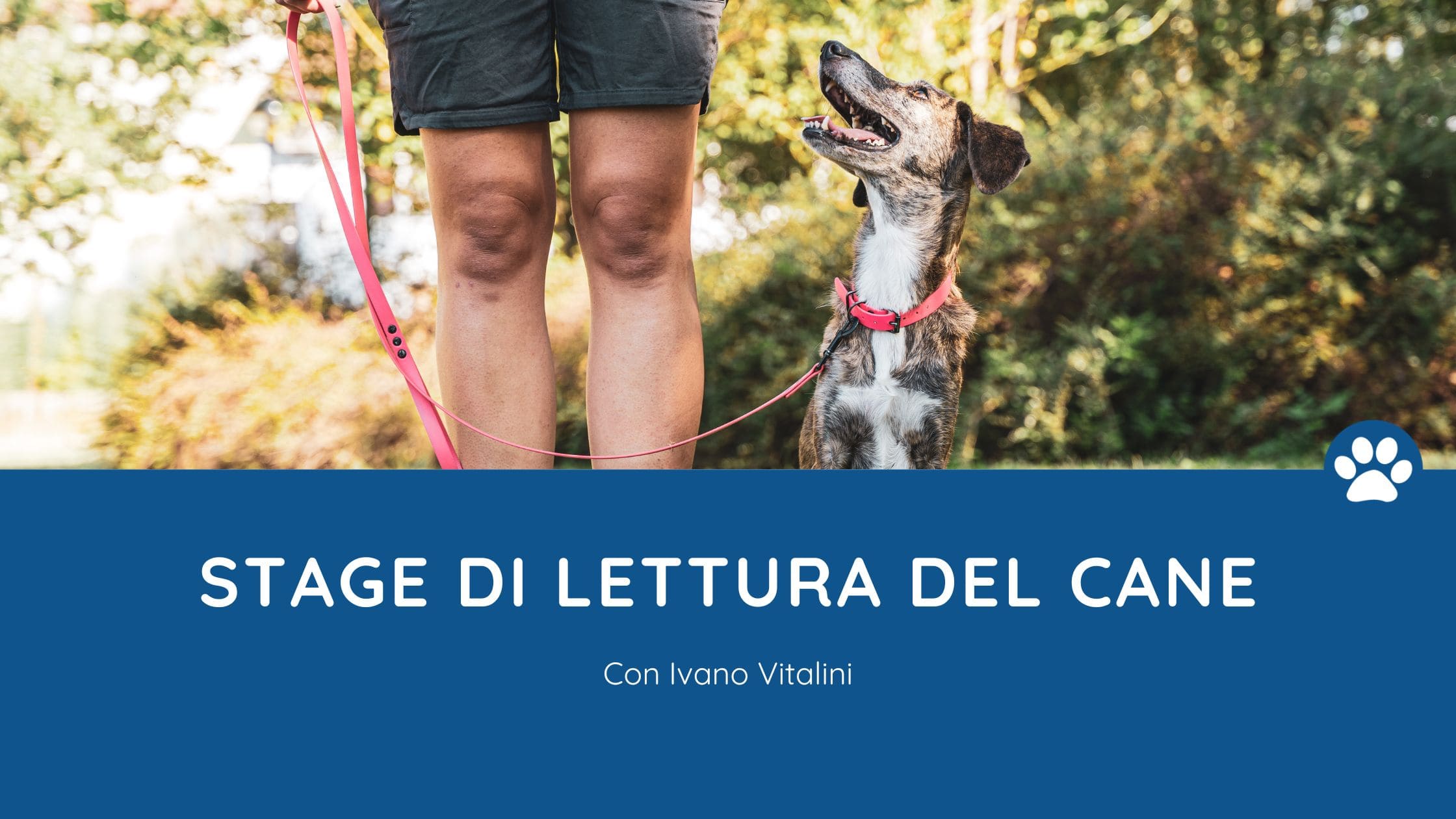 stage della lettura del cane