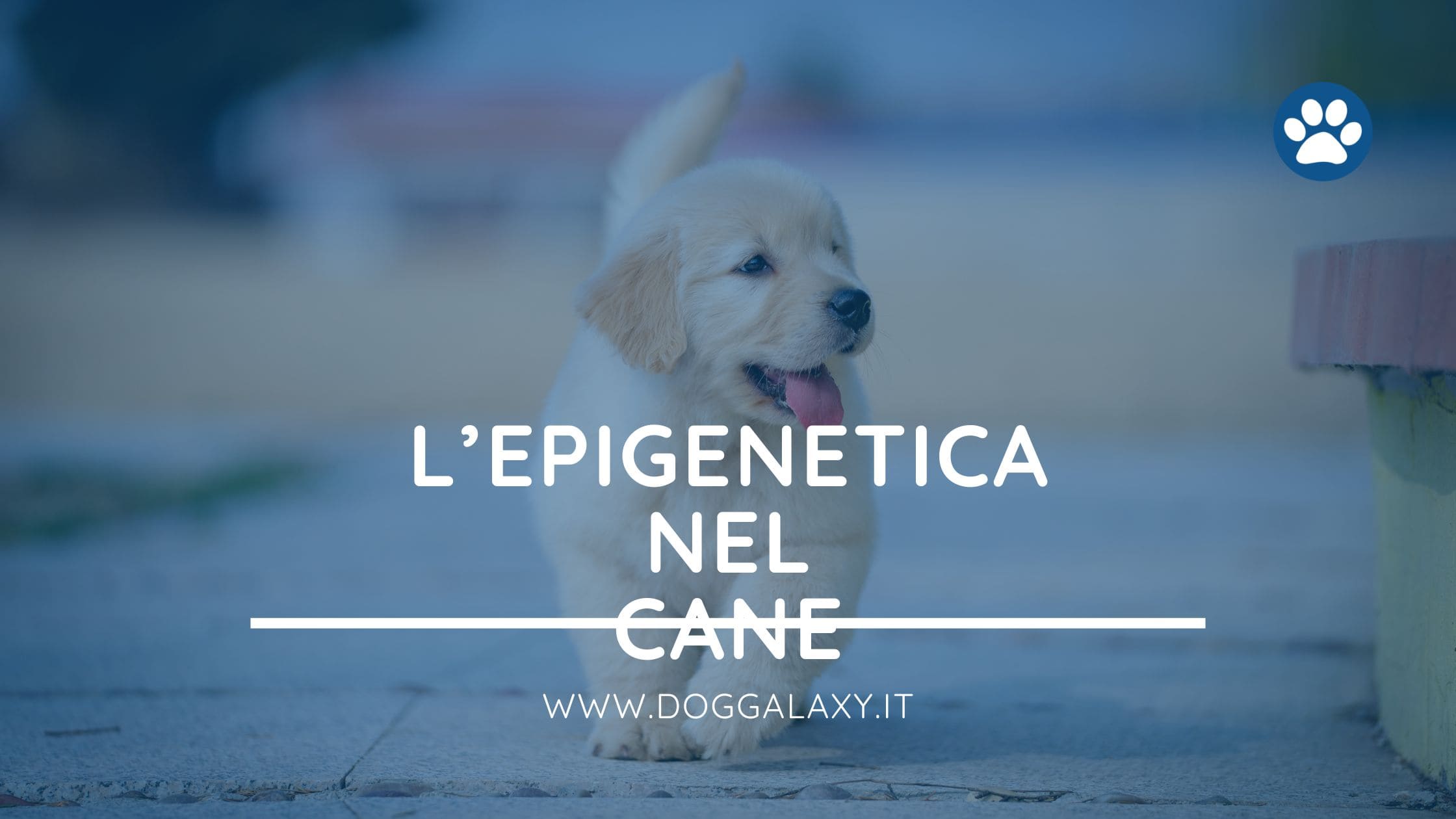 L'epigenetica nel cane