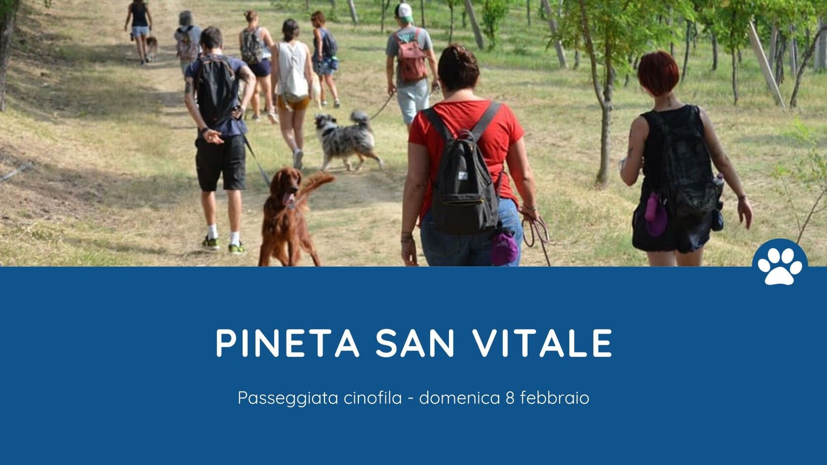 passeggiata pineta san vitale
