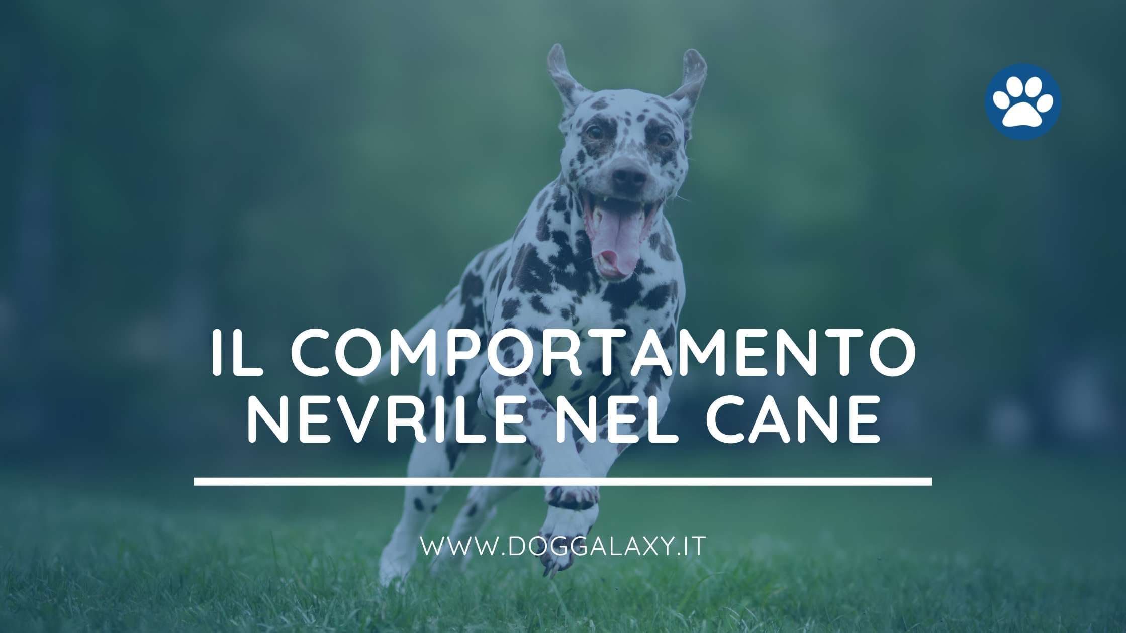 Il comportamento nevrile nel cane