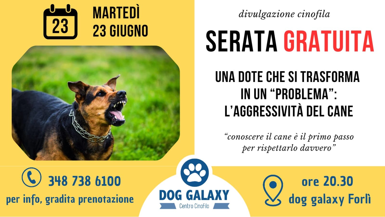 serata gratuita aggressività del cane