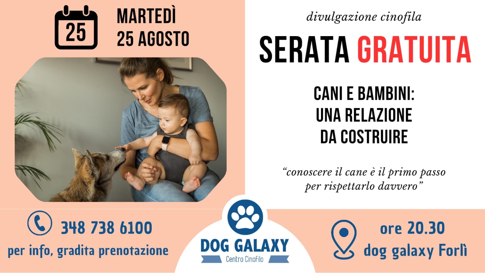 serata gratuita cani e bambini