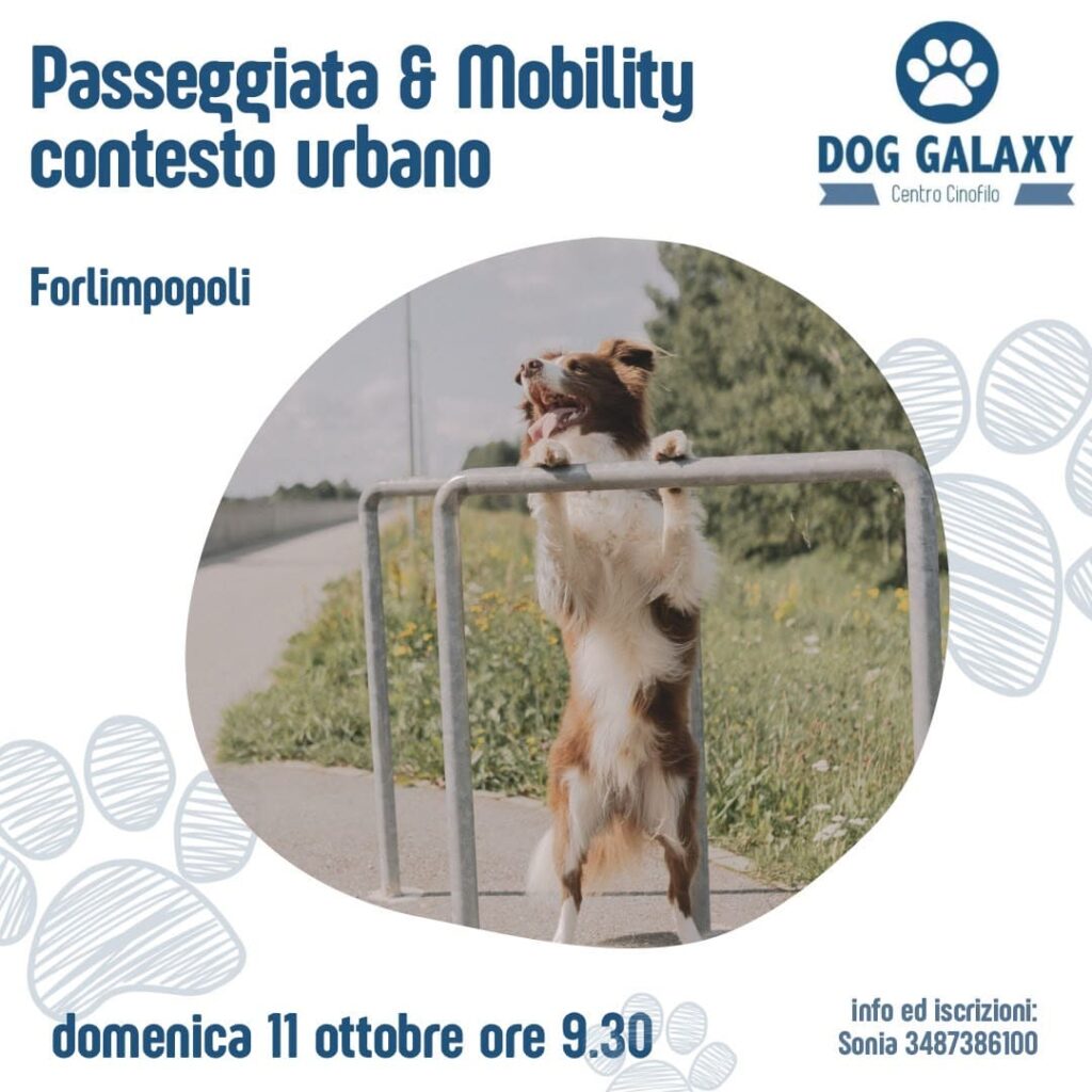 Passeggiata & Mobility in contesto urbano 1 passeggiata urbana forlimpopoli