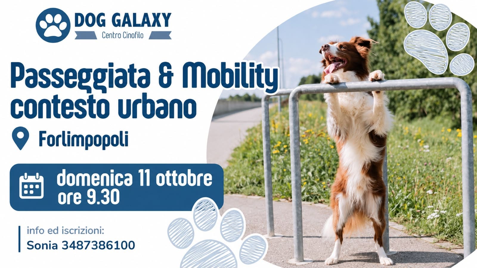 passeggiata urbana forlimpopoli
