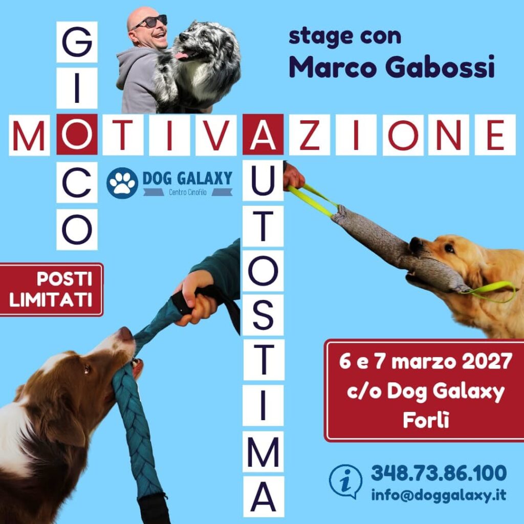 Stage con Marco Gabossi 1 stage marco gabossi